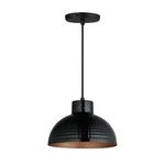 Maxim 35142BKACP Rockport Light Pendant-black Antique Copper. Fixed Price $128.00.
