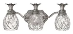 Hinkley Lighting H5313 Plantation 21"W Bathroom Vanity - Nickel. Fixed Price $364.65.