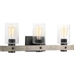 Progress Lighting Gulliver Collection 24 In. 3-LIGHT Graphite Finish Clear Seede. Fixed Price $100.00.