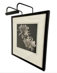 House Of Troy Slimline Picture Light SL6-7 Black Nib!. Fixed Price $99.99.