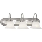Livex Lighting 1003-95 Belmont Bathroom Vanity Brushed Nickel. Fixed Price $175.97.