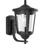 Progress Lighting East Haven Led Textured Black Clear Seeded Glass Lantern. Fixed Price $49.99.