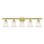 Livex Lighting 1065 Brass Neptune 5-LIGHT Vanity. Fixed Price $321.96.