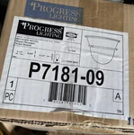 Progress Lighting P7181-09 Torino 1-LIGHT Sconce, 100 W, Brushed Nickel. Fixed Price $30.00.