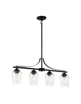 Minka Lavery 4924-66A Shyloh Light Island Coal Finish With Clear Glass. Fixed Price $149.00.
