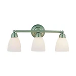 Trans Globe Traditional Frosted Light Bath Bar - Bronze In 3357 Rob. Fixed Price $109.99.