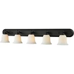 Z-lite 703-5V-MB Lagoon Light 48 Inch Matte Black Vanity Wall. Fixed Price $170.40.