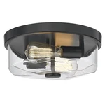 Flush Mount Ceiling With Clear Glass Shade, 2-LIGHT Indoor Outdoor Farm.... Fixed Price $73.86.