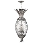 Hinkley Lighting Plantation 4 Foyer Lg Pendant, Antique Nickel - 2222PL. Fixed Price $534.99.