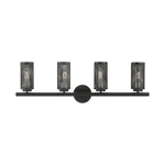 Livex Lighting Black Bath Vanity W/brushed Nickel Accents, 1412.... Fixed Price $480.19.