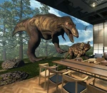 3D Forest Dinosaur ZHUA50562 Wallpaper Murals Removable Self-adhesive Ann. Fixed Price $273.02.