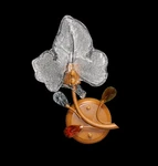 New 1-LTS Vintage Floral Wall Sconce Leaf Design Elegant Glass Shade Lamp. Fixed Price $37.50.
