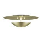 Livex Ventura 2 Light Large Semi-flush/wall Sconce, Brass 56570-01. Fixed Price $199.96.