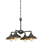 Westinghouse 6345000 Iron Hill Light 25-3/16"W Shaded Bronze. Fixed Price $181.13.