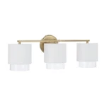 Capital Lighting Weller 3LT Vanity, Brass/white/clear Seeded 153031RE-549. Fixed Price $248.00.