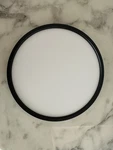 Taloya Flush Mount Led Ceiling Light Fixture Black 12 Inch 20 Watt Thin. Fixed Price $16.99.