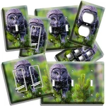 Wise Rare Gray Owl On Pine Tree Light Switch Outlet Wall Plate Room Home Decor. Fixed Price $19.79.