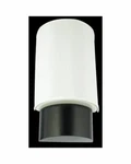 Quoizel Lighting Marriott Collection Wall Sconce Dark Wood Finish MAR271GFL 4PK. Fixed Price $39.99.