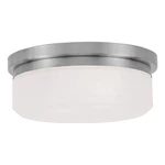 Livex Lighting Stratus 2 Brushed Nickel Ceiling Mount Or Wall. Fixed Price $94.99.