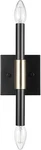 Globe Electric 65000044 2-LIGHT Wall Sconce, Matte Black, Finnick. Fixed Price $30.35.