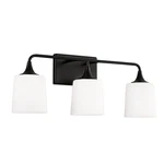 Capital Lighting 148931-541 Presley 27"W Vanity. Fixed Price $238.00.
