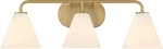 Savoy House 8-2988-3-322 Blair 3-LIGHT Bathroom Vanity In Warm Brass. Fixed Price $163.50.