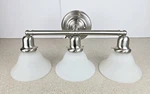 Sea Gull Sussex 3 Light 24 Inch Bathroom Vanity Brushed Nickel 44062-962. Fixed Price $41.03.