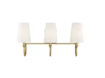 Savoy House 8-2542-3-322 Cameron 24" Bathroom Vanity Light, Warm Brass. Fixed Price $149.95.