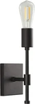 Linea Lighting Wall Sconce With Edison Bulb, LL-WL147, Black. Fixed Price $27.95.