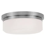 Livex Lighting Isis Ceiling Mount Or Wall Brushed Nickel 7390-91. Fixed Price $113.96.