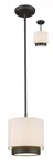 Z-lite Light Convertible Mini Pendant 196-8. Fixed Price $99.21.