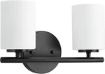 Progress Lighting P2158-31 Vanity 2-LIGHT Black White Glass Bath Wall. Fixed Price $49.49.