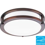 Progress Lighting P7249-174EBWB Energy Star 1-LIGHT Urban Bronze Flushmount New. Fixed Price $118.63.