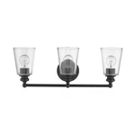 Acclaim Lighting IN41402 Bronze Ceil 3-LIGHT 23"W Bathroom Vanity. Fixed Price $128.00.