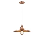 Innovations Franklin Rest Appalachian 12" Mini Pendant, Cp 201CSW-AC-MFR-AC-12. Fixed Price $177.76.
