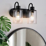 Litaddscen Matte Black Bathroom Fixtures Over MIRROR,2-LIGHT. Fixed Price $45.99.