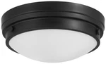 Light Flush Mount By Minka-lavery 823-66A. Fixed Price $110.00.