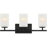 Designers Fountain D239M-3B-MB Carmine Bathroom Vanity Light Matte Black. Fixed Price $125.93.