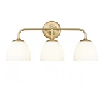 Golden Lighting Dorinda 7.5" 3-LIGHT Vanity With Opal Glass. Fixed Price $159.00.