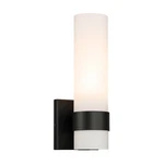 Modern Bathroom Sconce Light With White Glass Single Wall Black. Fixed Price $46.99.