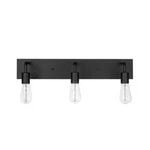 Hampton Bay Northvale 24" 3-LIGHT Matte Black Industrial Bathroom Vanity. Fixed Price $19.99.