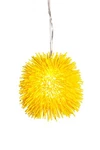 Varaluz 169M01 Yellow Urchin Single Light 9"W Mini Pendant. Fixed Price $399.00.