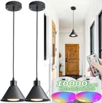 Battery Operated Pendant Light Set Of 2, Rgb Color Changing Rechargeable Hang.... Fixed Price $101.70.
