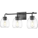 Acclaim Lighting IN40062BK Dawes 3 24 Inch Matte Black Vanity Wall. Fixed Price $128.00.