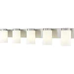 Z-lite 746-5V-BN Burk Bathroom Vanity Light Brushed Nickel. Fixed Price $308.00.