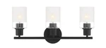 Designers Fountain D236M-3B Cedar Lane Light 22"W Bathroom Black. Fixed Price $150.00.