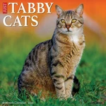 Tabby Cats 2026 12" X Wall Calendar (free Shipping). Fixed Price $12.74.
