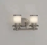 Hampton Bay Truitt 2-LIGHT Vanity Brushed Nickel 1001 255 104. Fixed Price $25.00.