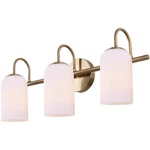 Canarm Lighting IVL1130A03GD Novalee Bathroom Vanity Gold. Fixed Price $137.60.