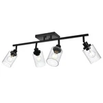 4-LIGHT Track Lighting Kit Bathroom Wall Fixtures, Black Directional Ce.... Fixed Price $188.29.